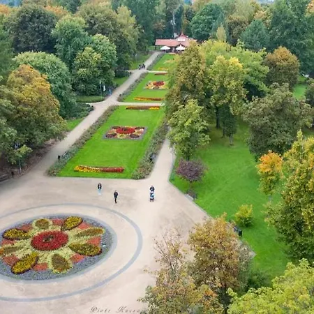 Pocieszna Podkowa